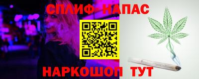 шишки Обнинск