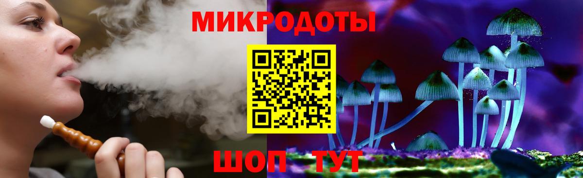 Галлюциногенные грибы Psilocybine cubensis Улан-Удэ